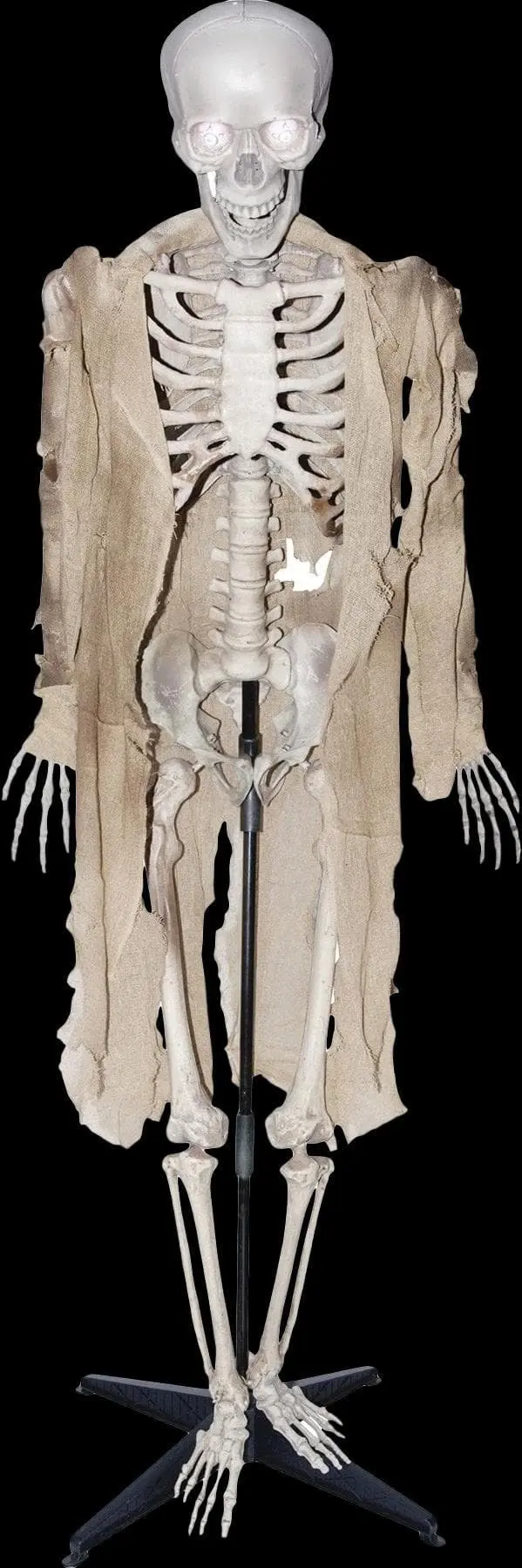 Morris "Talking Skeleton" Halloween Prop - Open Box 3 Morris "Talking Skeleton" Halloween Prop - Open Box