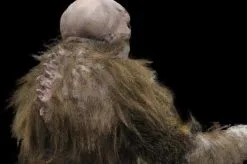 The Horror Dome "The Hobgoblin" HD Studios Pro Costume -Halloween Horror Decorations Shop the hobgoblin hd studios pro halloween costume 8721737217