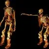 DC PROPS "The Jester" Skeleton Halloween Animatronic
