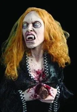 The Horror Dome "Vampire" Halloween Props - Package Deal -Halloween Horror Decorations Shop vampire halloween props package deal 6954317250608