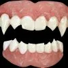 Morris Vampire Teeth 2 Morris Vampire Teeth -Halloween Horror Decorations Shop vampire teeth 14161065672752