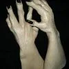 The Horror Dome "Werewolf Monster Hands" Deluxe Latex Halloween Costume Gloves -Halloween Horror Decorations Shop werewolf monster hands deluxe latex halloween costume gloves 11520622297136