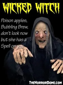 The Horror Dome "Wicked Witch" HD Comfort Costume 9 The Horror Dome "Wicked Witch" HD Comfort Costume -Halloween Horror Decorations Shop wicked witch hd studios comfort fit halloween costume 14335789858864