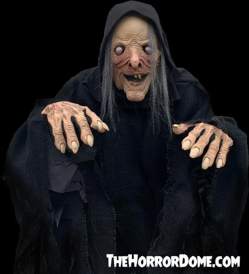 The Horror Dome "Wicked Witch" HD Comfort Costume 5 The Horror Dome "Wicked Witch" HD Comfort Costume - Image 3