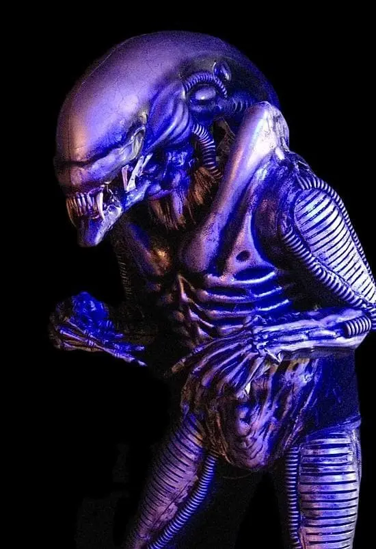 Midnight Studios "Zenomorph" Professional Costume 3 Midnight Studios "Zenomorph" Professional Costume