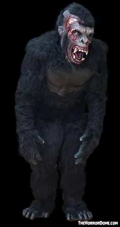 The Horror Dome "Zombie Gorilla" HD Studios Pro Costume -Halloween Horror Decorations Shop zombie gorilla hd studios pro costume 29597220798512