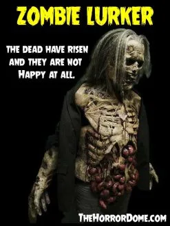 The Horror Dome "Zombie Lurker" HD Studios Pro Costume 19 The Horror Dome "Zombie Lurker" HD Studios Pro Costume -Halloween Horror Decorations Shop zombie lurker hd studios pro halloween costume 28754332680240