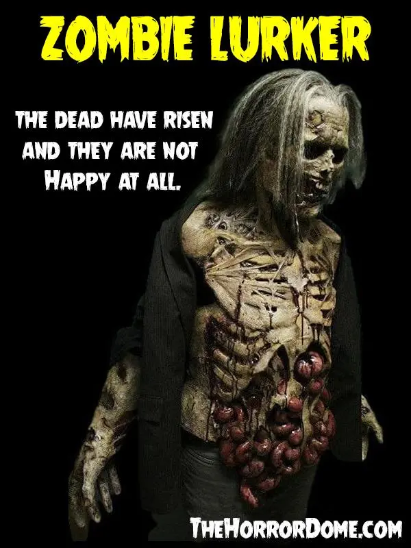 The Horror Dome "Zombie Lurker" HD Studios Pro Costume 11 The Horror Dome "Zombie Lurker" HD Studios Pro Costume - Image 9