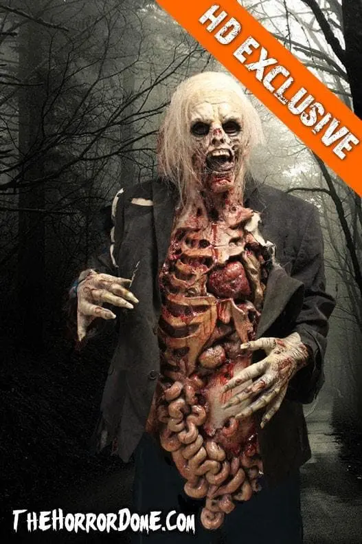 The Horror Dome "Zombie Walker" HD Studios Pro Costume 8 The Horror Dome "Zombie Walker" HD Studios Pro Costume - Image 6