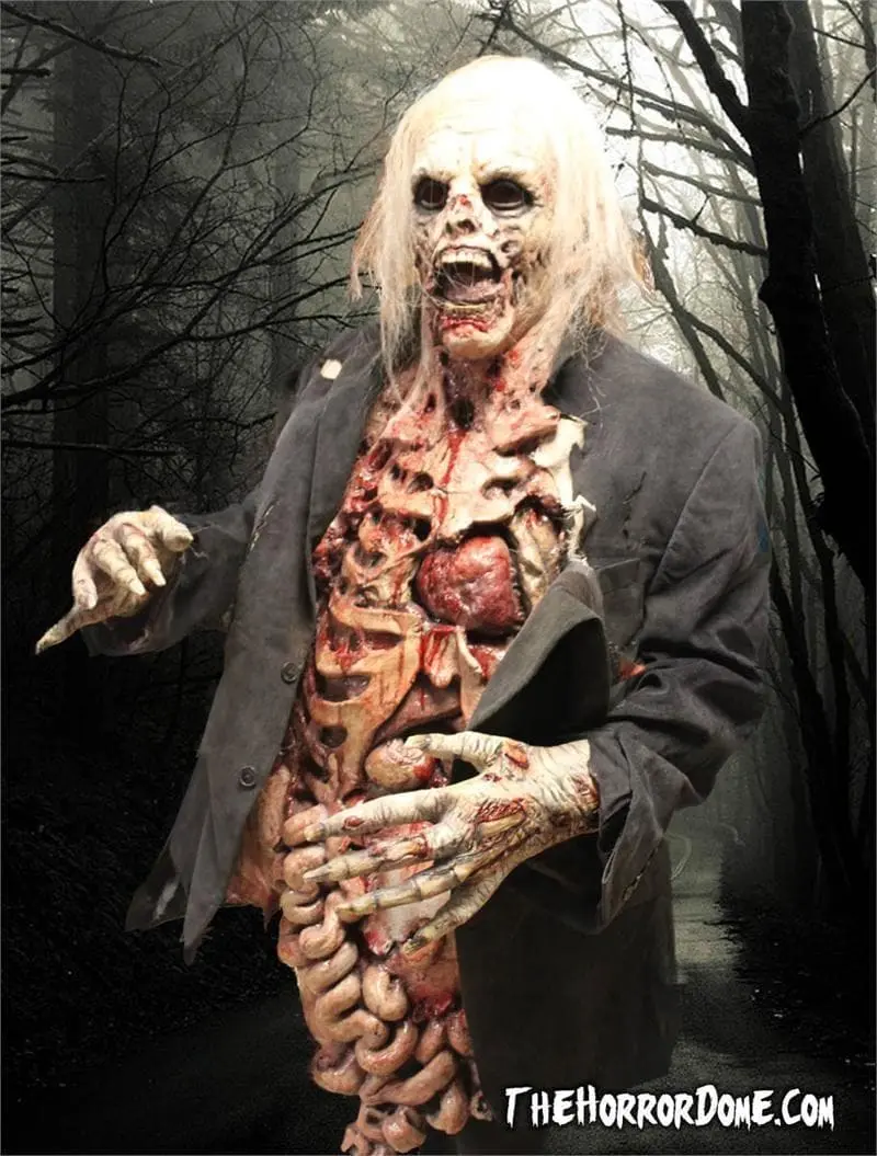 The Horror Dome "Zombie Walker" HD Studios Pro Costume 5 The Horror Dome "Zombie Walker" HD Studios Pro Costume - Image 3