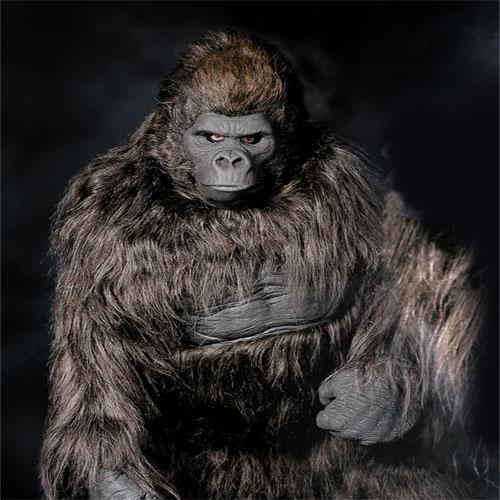 Halloween Horror Decorations Shop -Halloween Horror Decorations Shop fb577da22a43df830e0f6d37ec1c7279 1